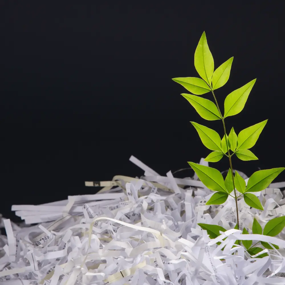 Read more about the article 종이파쇄 비용 서비스 절차, 업체 보안성 확인 방법까지