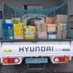Read more about the article 화성 보안문서파쇄 업체 이용할 때 참고하세요.